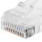 RJ48 connettore RJ50 maschio 10P10C 100 unità