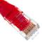 Cable UTP categoría 6 rojo 25cm