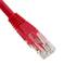Cable UTP categoría 6 rojo 25cm