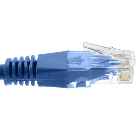 Cable UTP categoria 6 blau 50cm