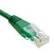 Category 6 UTP Cable green 50cm