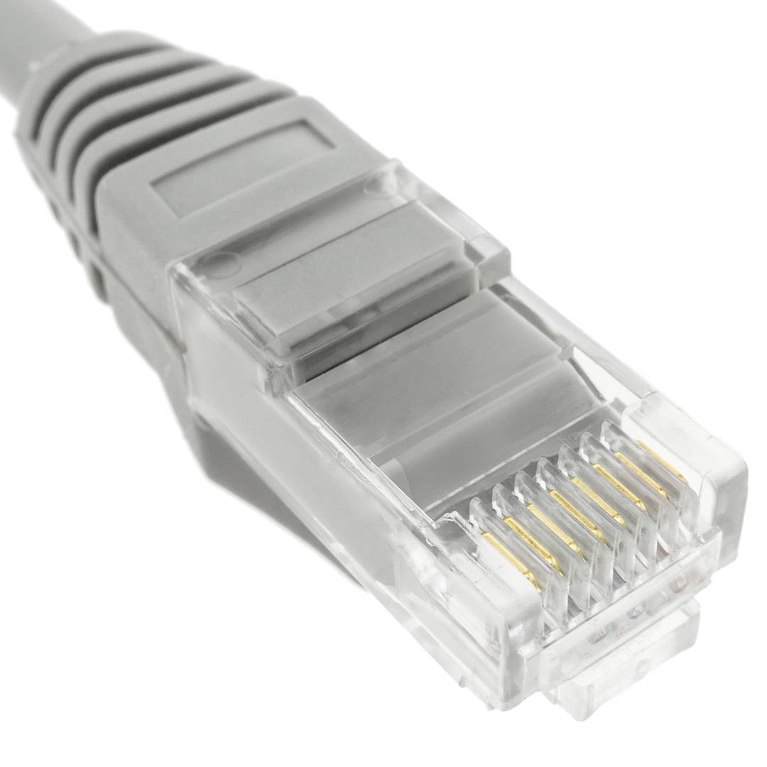 Gray Catégorie 6A UTP Cable 1m