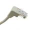 Câble de réseau de catégorie 6 Cat.6 RJ45 angle droit UTP 24AWG LAN de 2 m