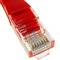 Ethernet-kabelnetwerk 3m UTP categorie 5e rood