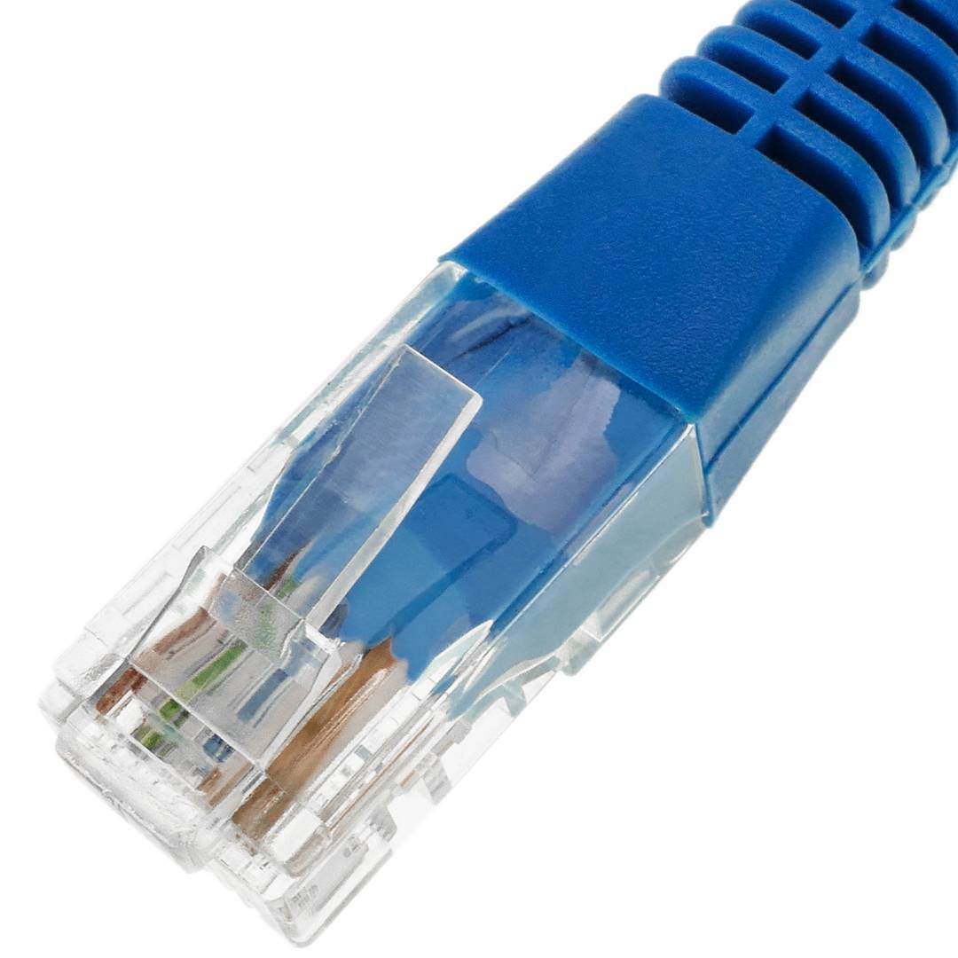 Câble réseau Ethernet UTP bleu Cat.5e 0,25 m