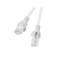 Lot de 10 câbles réseau Lanberg cat.5E UTP 1,5m couleur grise PCU5-20CC-0150-S