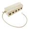 Kabel multiplikatora RJ11 20 cm (1 RJ11-M do 5 RJ11-H)