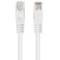 10 stuks 0,25 m Cat.6 UTP Ethernet-netwerkkabel, wit PCU6-20CC-0025-W