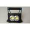 Portable Solar LED Spotlight.