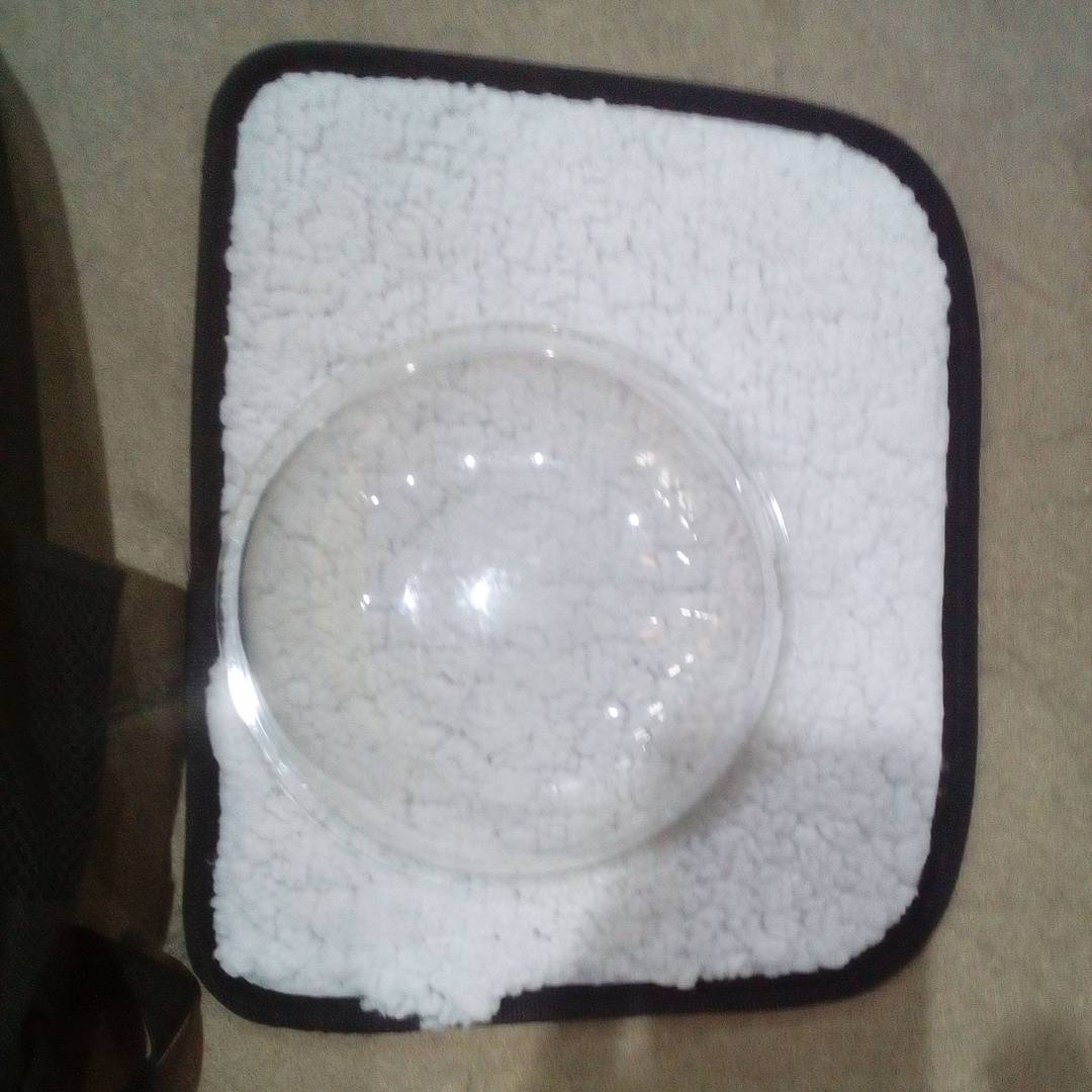 Sac à dos en plastique rigide jaune pour le transport des animaux chat et chien