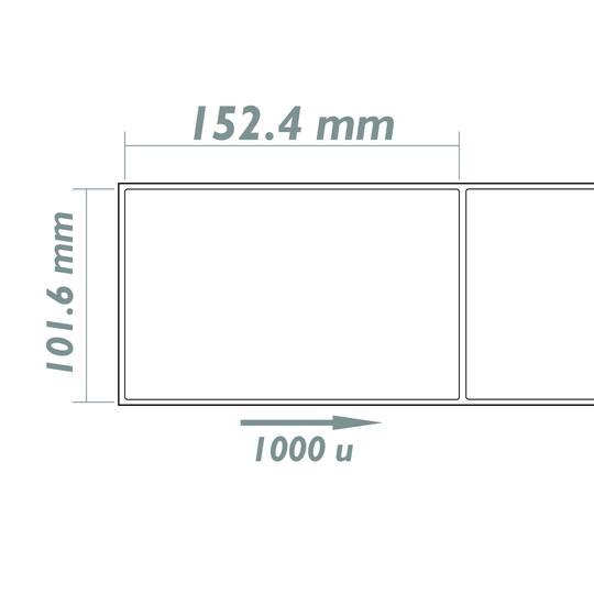 Thermal roll label with 1000 labels for thermal transfer printer 101.6x152.4mm