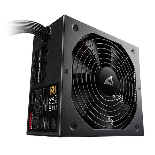 Sharkoon WPM Gold Zero 650W 80+ Alimentation ATX en noir