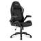 Sharkoon Elbrus 1 Gaming Chair in Black and Gray