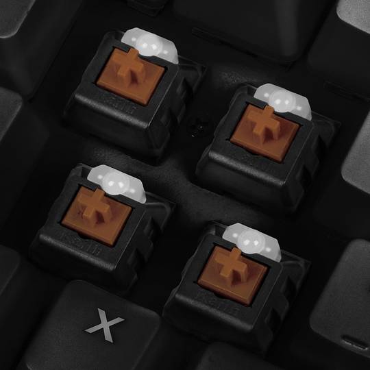 Tastiera da gioco meccanica Sharkoon SGK3 con switch USB marrone RGB