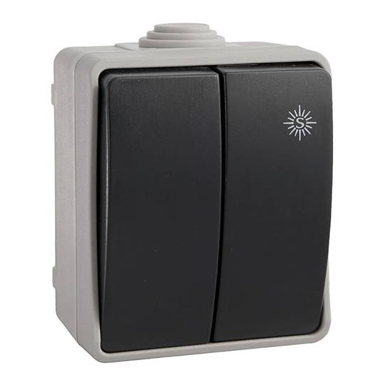 Conmutador doble 10AX 250V IP54 de 65 x 80 x 55mm Solera 3313