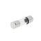 Fusible de cristal 2A 5x20mm 10 unidades