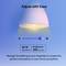 Slimme wifi-lamp, veelkleurig TP-Link Tapo L530E (2 stuks)