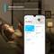 Mini Enchufe Inteligente Wi-Fi TP-Link Tapo P100 (Pack de 2)