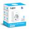 Mini Smart Plug TP-Link Wi-Fi Plug P100