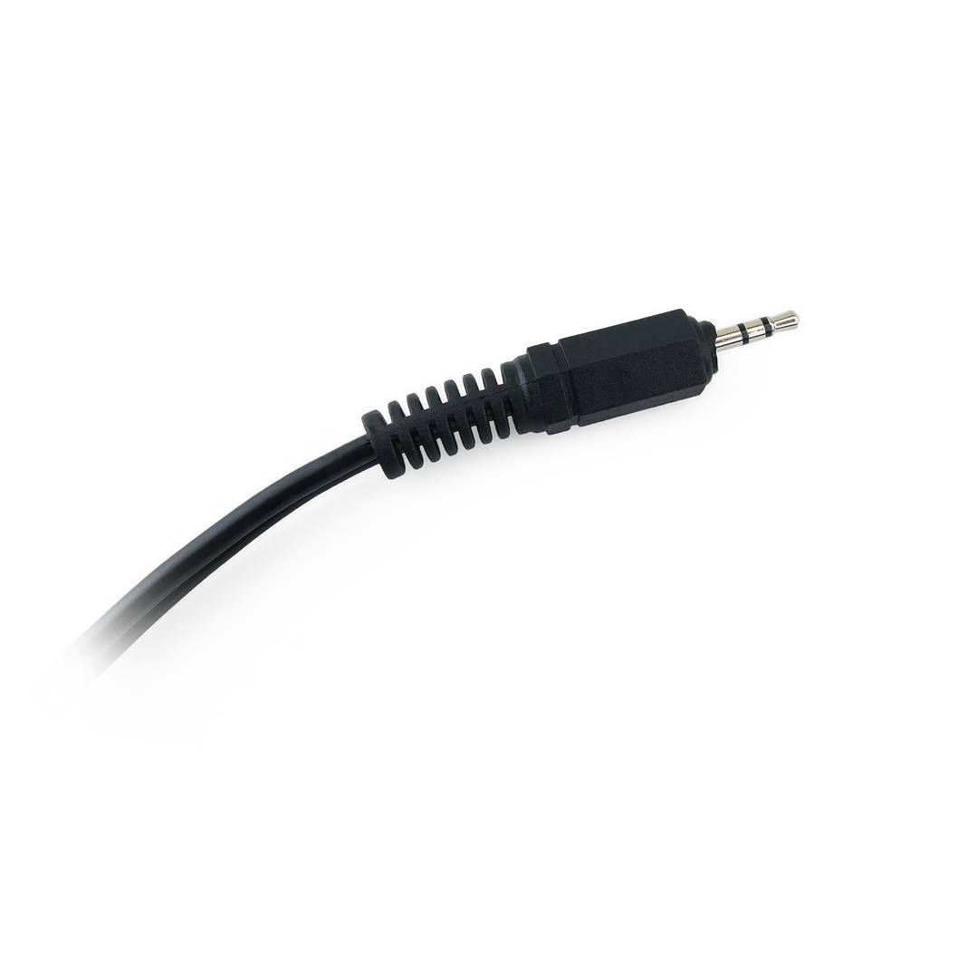 2,5 mm stereo audiokabel mannelijk naar 2 RCA mannelijk 3 m