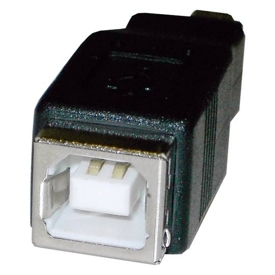 Adaptador USB (BH/MiniUSB5pin-M) Tipus A