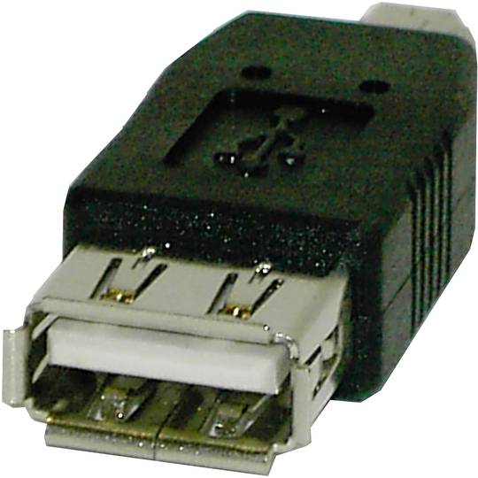 USB Adapter (AH/MiniUSB5pin-M) Tipo A