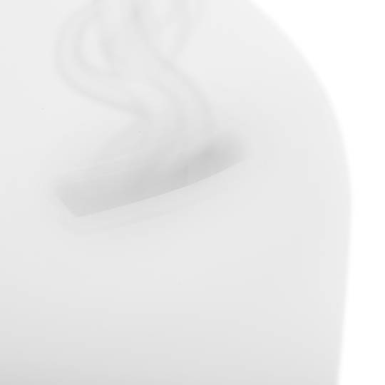 Difusor y humidificador de aromas por vibraciones ultrasónicas con luz RGB 12W 300 ml