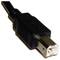 5V PoweredUSB Kabel 2m (USB-BM/PUSB-5V)