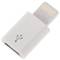 Adaptador Micro USB a connector Lightning