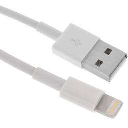 Cavo USB tipo A connettore lightning maschio a maschio 2 metri