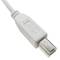 USB 2.0 AB Cable 2m de mâle blanc