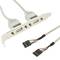 USB-moederbordadapter 2x5 pin naar 2xAH beugel