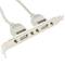 USB-moederbordadapter 2x5 pin naar 2xAH beugel