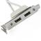 Motherboard USB adapter to 2xAH 2x5 pin low-profile bracket