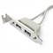Motherboard USB adapter to 2xAH 2x5 pin low-profile bracket