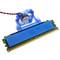 RAM Fan Memory Module (Evercool Strong Wind)