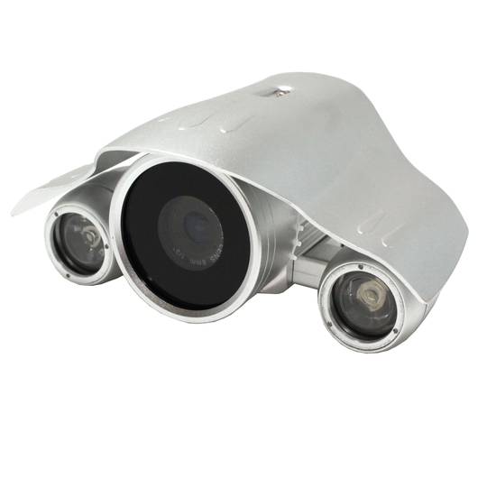 Professionelle CCTV-Kamera Video mit Sony-Chipsatz und Infrarot-LEDs 15mm