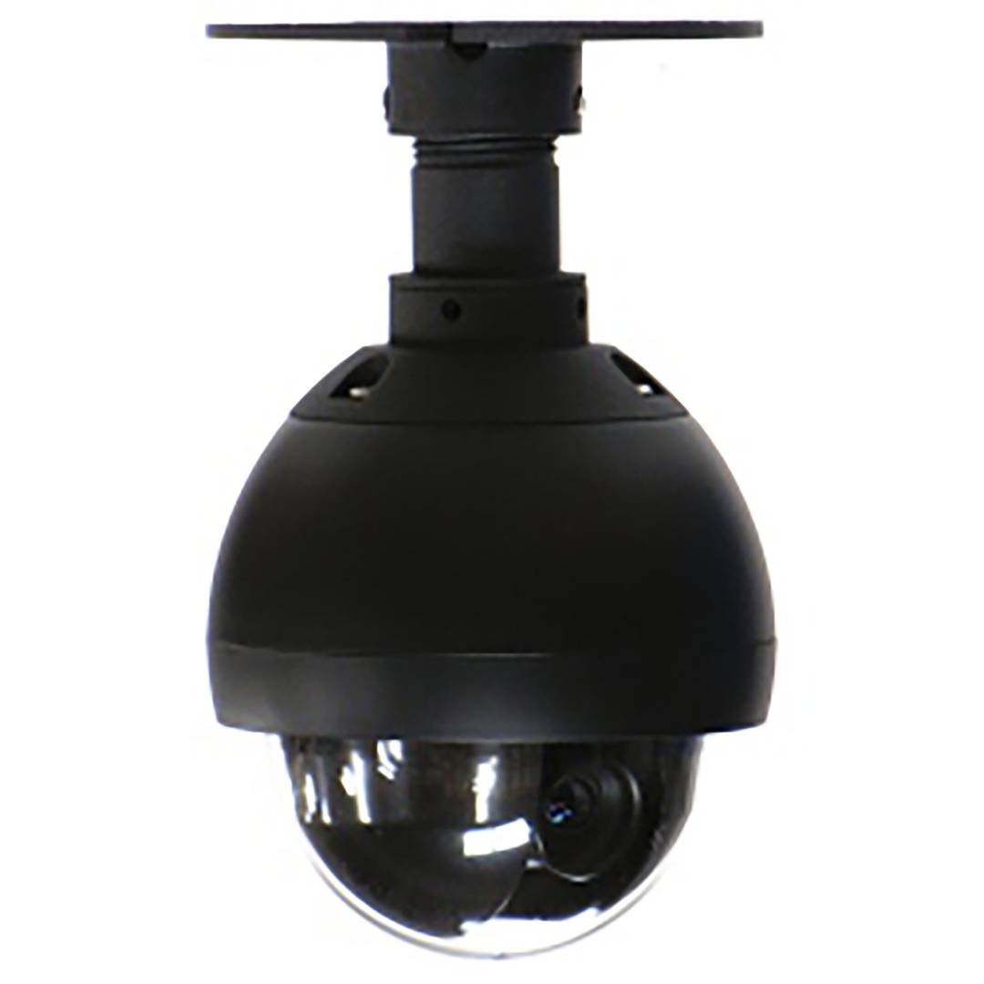 Telecamera CCD PTZ Dome (Interior 420TVL Varifocal 4-9mm)