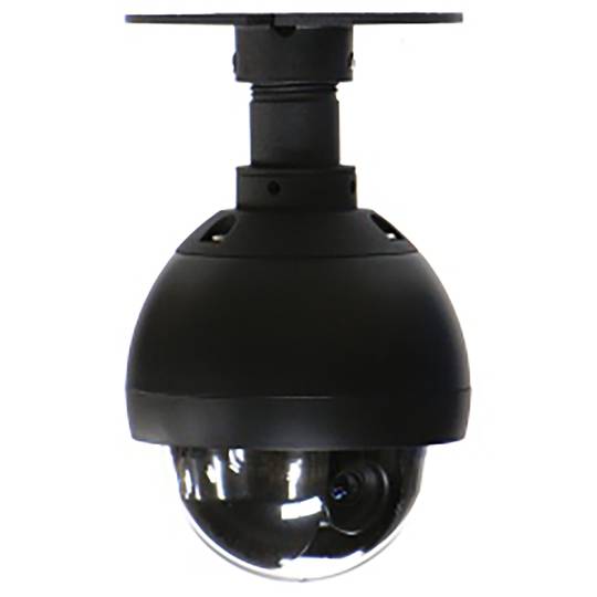 Telecamera CCD PTZ Dome (Interior 420TVL Varifocal 4-9mm)