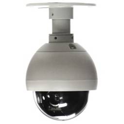 Dome CCD-camera met PTZ-bediening (Indoor 420TVL Hitachi 10X Zoom)
