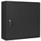 Rack19 mural 6U+3U F200 540x200x540 porte métallique Lanberg