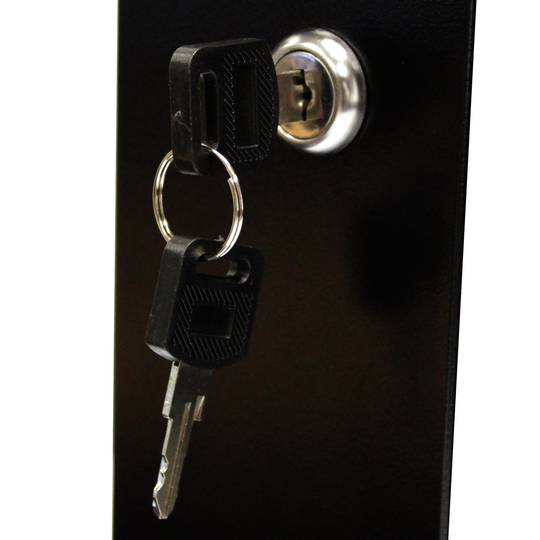 Server rack cabinet 19 inch 18U 600x600x900mm swivel wallmount SOHORack by RackMatic