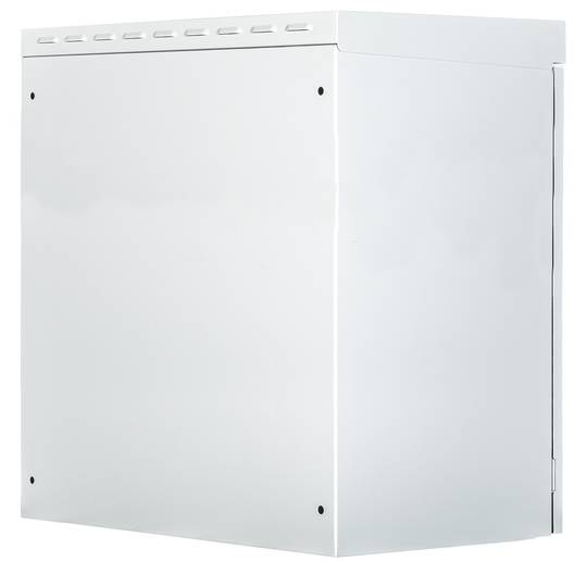 Outdoor beveiligde wandgemonteerde rackkast met 2 sloten 16U IP55 600 x 450 x 841