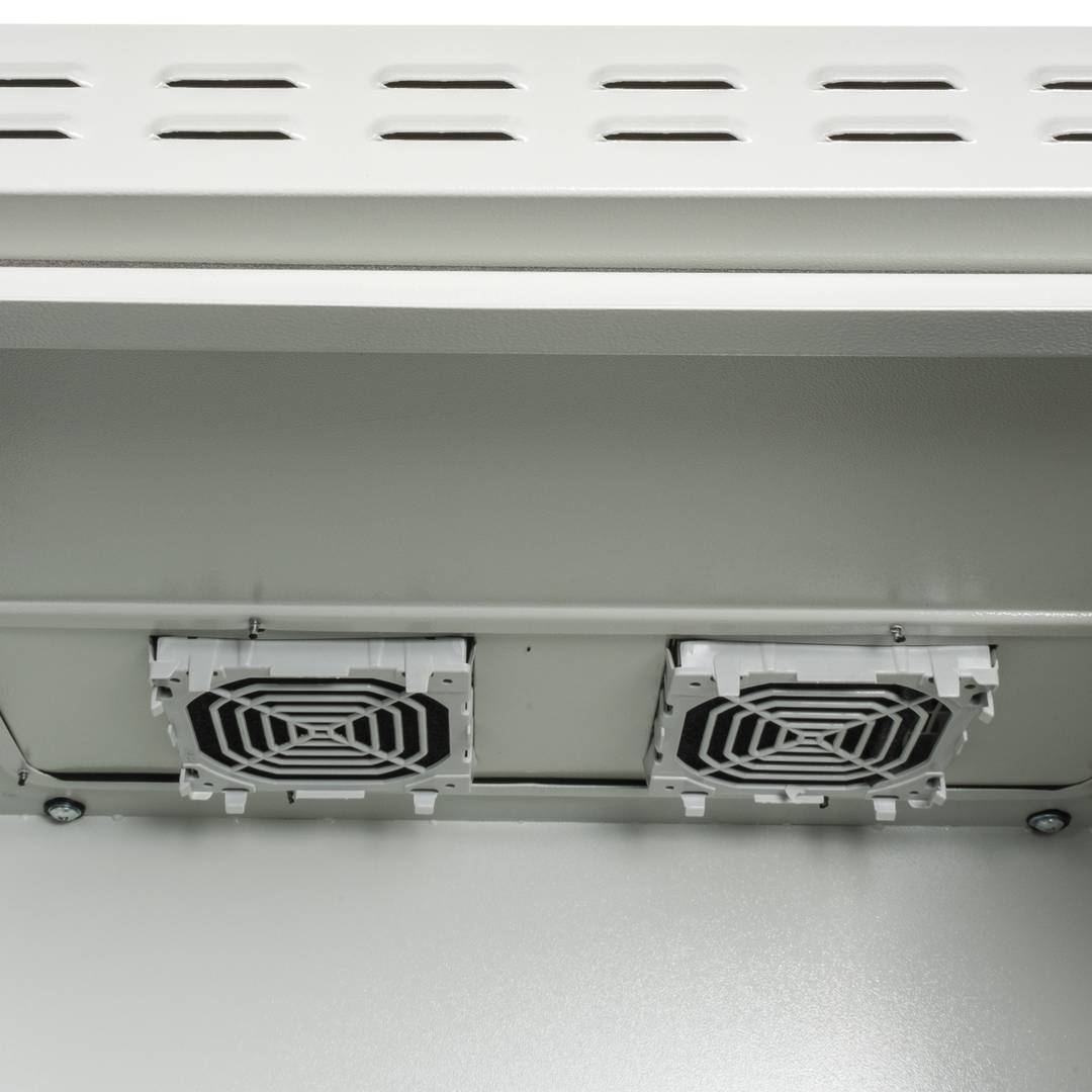 Outdoor beveiligde wandgemonteerde rackkast met 2 sloten 16U IP55 600 x 450 x 841