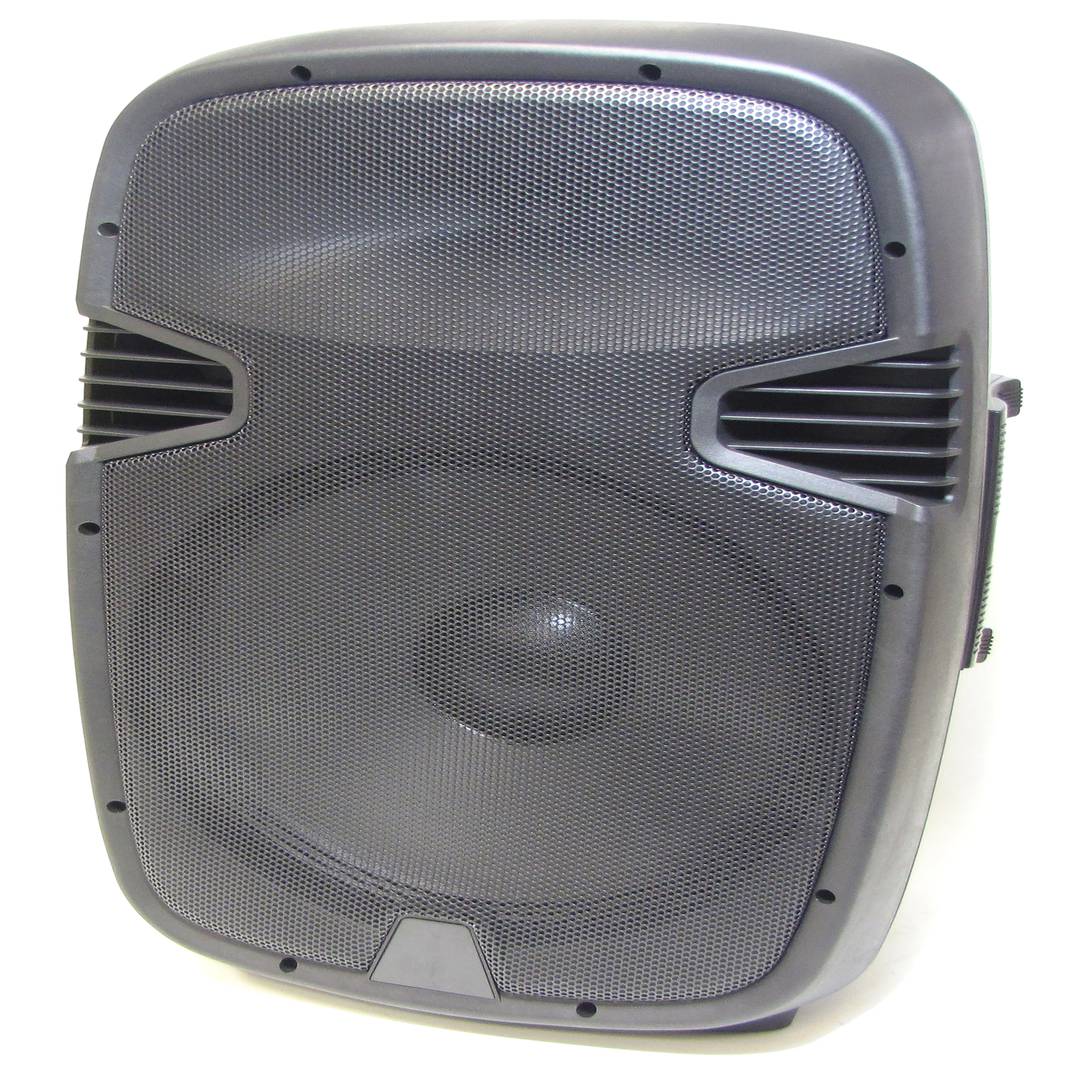 Profesjonalny głośnik 400 W RMS 42x36x67 cm