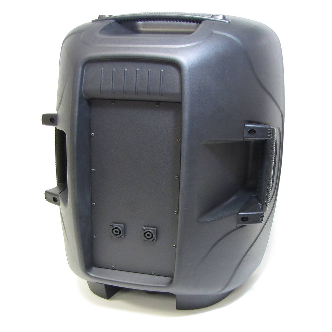 Profesjonalny głośnik 400 W RMS 42x36x67 cm