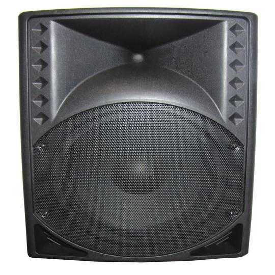 Altaveu professional 250W RMS amb amplificador EQ SD USB 40x39x59cm
