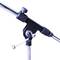 Giraffe standing microphone stand B