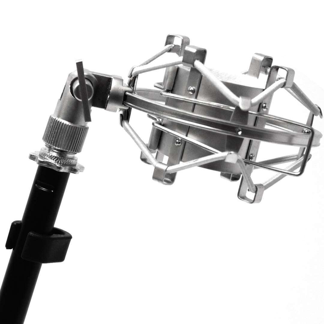 Spider support for microphone E