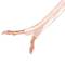 Cable per a altaveus 2 x 4.0mm2 de Lanberg 100m